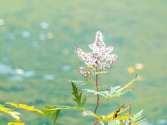 -叠溪松坪沟景区