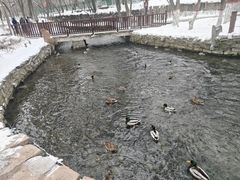 -水磨沟公园