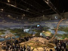 -自贡恐龙博物馆