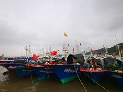 -沈家门渔港