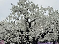 -江苏三台山国家森林公园