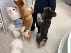 -怪兽屋·羊驼·猫咖·狗咖(俊华广场店)