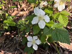 -敬亭山风景名胜区