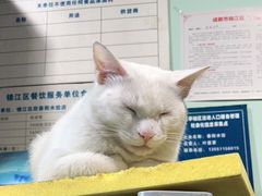 -春阳水饺(香槟广场店)