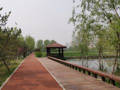 -永定河休闲森林公园