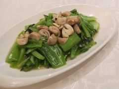 草菇盖菜-马凯餐厅(地安门店)