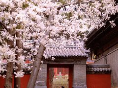-潭柘寺景区