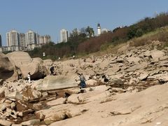 -金海湾滨江公园