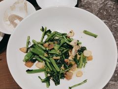 -同庆楼(滨湖万达广场店)