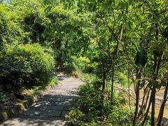 -广州白江湖森林公园