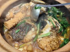 -九道菜有鸡鱼头(石鼓路店)