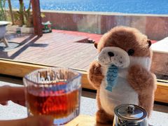 -Bella coffee(六月海店)