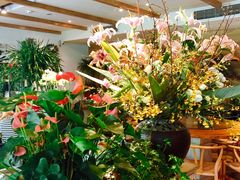 -春暖花开(西溪店)