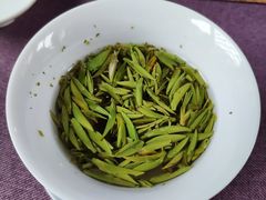 竹叶青茶-见山书院