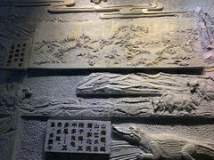 -青藏高原自然博物馆