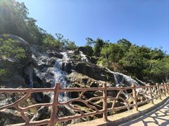 -海南霸王岭国家森林公园