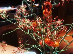-一坐一忘云南菜(三里屯店)