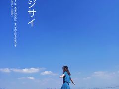 -海堤纪念公园