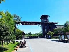 -泗洪洪泽湖湿地景区