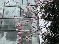 -武汉交通职业学院
