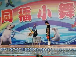 -塔元庄景区