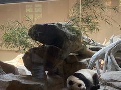 -宁波野生动物园
