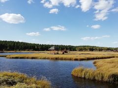 -塞罕坝国家级自然保护区