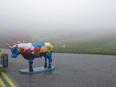 android_upload_pic-东部华侨城