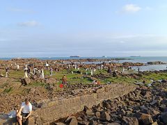 -青岛第二海水浴场