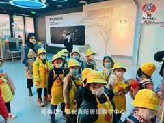 -杨梅红艺术教育(西安高新唐延教学中心)