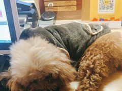 -新富特功夫足疗(华都园大厦店)