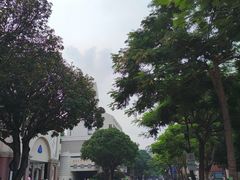 -厦门大学(思明校区)
