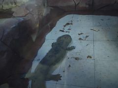 -新疆天山野生动物园