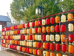 -梁鸿国家湿地公园