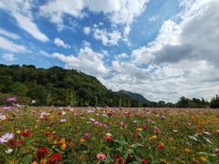 -贵阳市花溪国家城市湿地公园