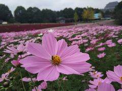 -保利石象湖景区