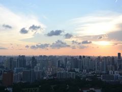 -新加坡瑞士史丹福酒店