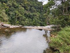 -海南热带雨林国家公园吊罗山景区