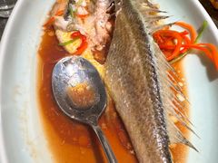 -前海沿·青岛菜(乐客城店)