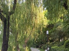 -沙市市中山公园