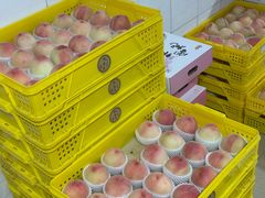 -老袁家蜜桃农场·阳山水蜜桃