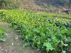 -姥家大锅台水库渔家