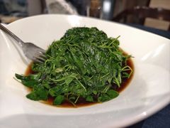 -香雪海饭店中餐厅(人民桥店)