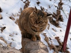 -终南山南五台景区