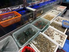 -长平肥姐白粥·海鲜打冷