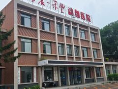 -派美特宠物医院·核磁CT·骨科肿瘤·疑难转诊(沈农禾丰店)