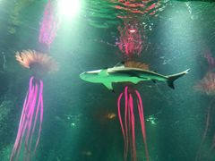 -沈阳海洋探索中心