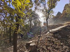 -北京西山国家森林公园