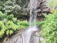 -龙苍沟森林公园