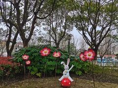 -高东镇樱花园